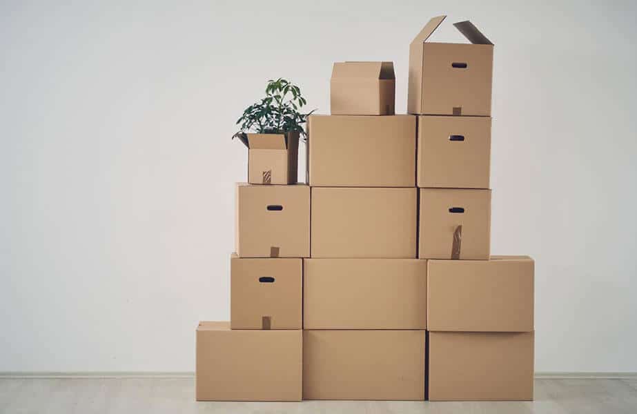 How To Store Cardboard Boxes In Apartment
